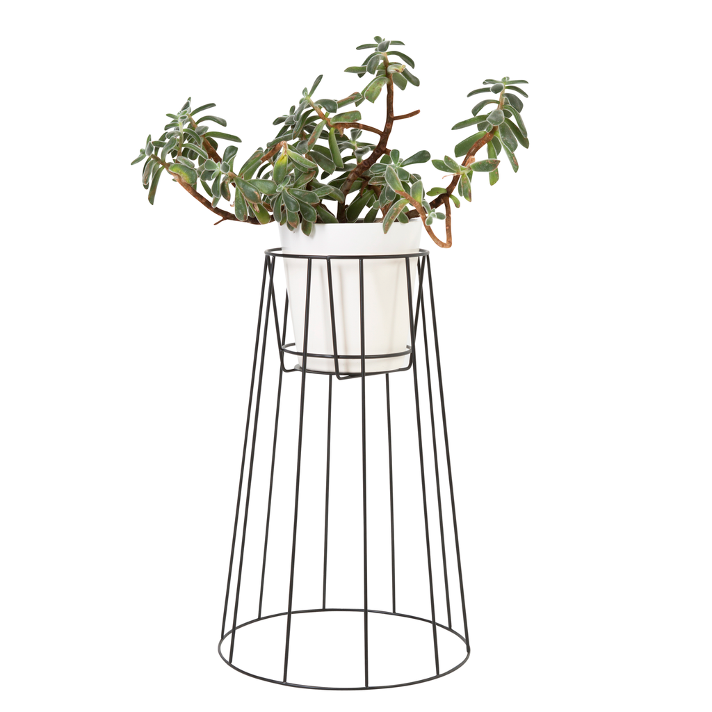 Cibele Plant Stand, Large